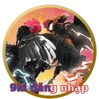 9ki đăng nhập